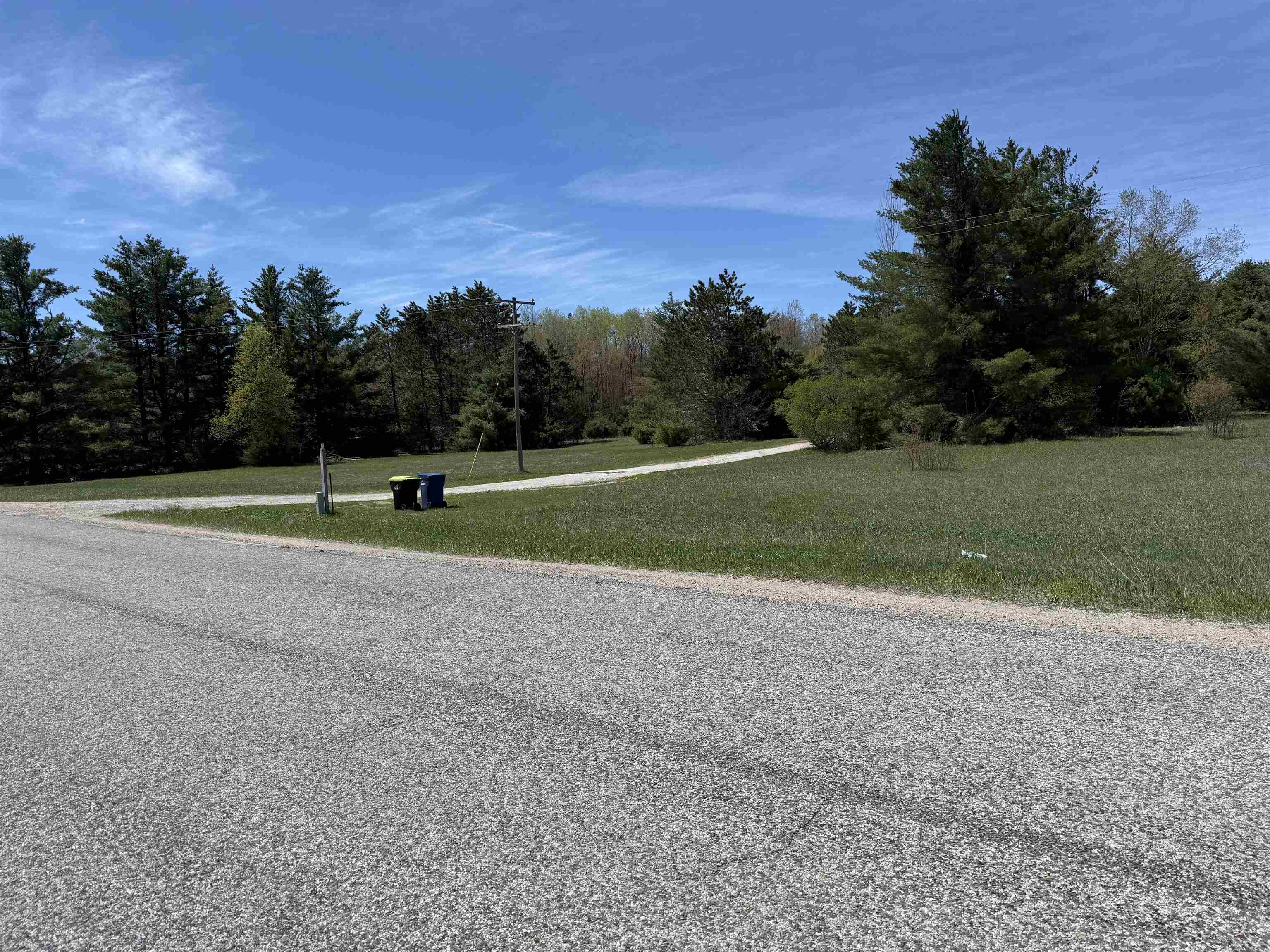 7274 South Forward Road McBain, MI 49657 - Photo 11 of 76