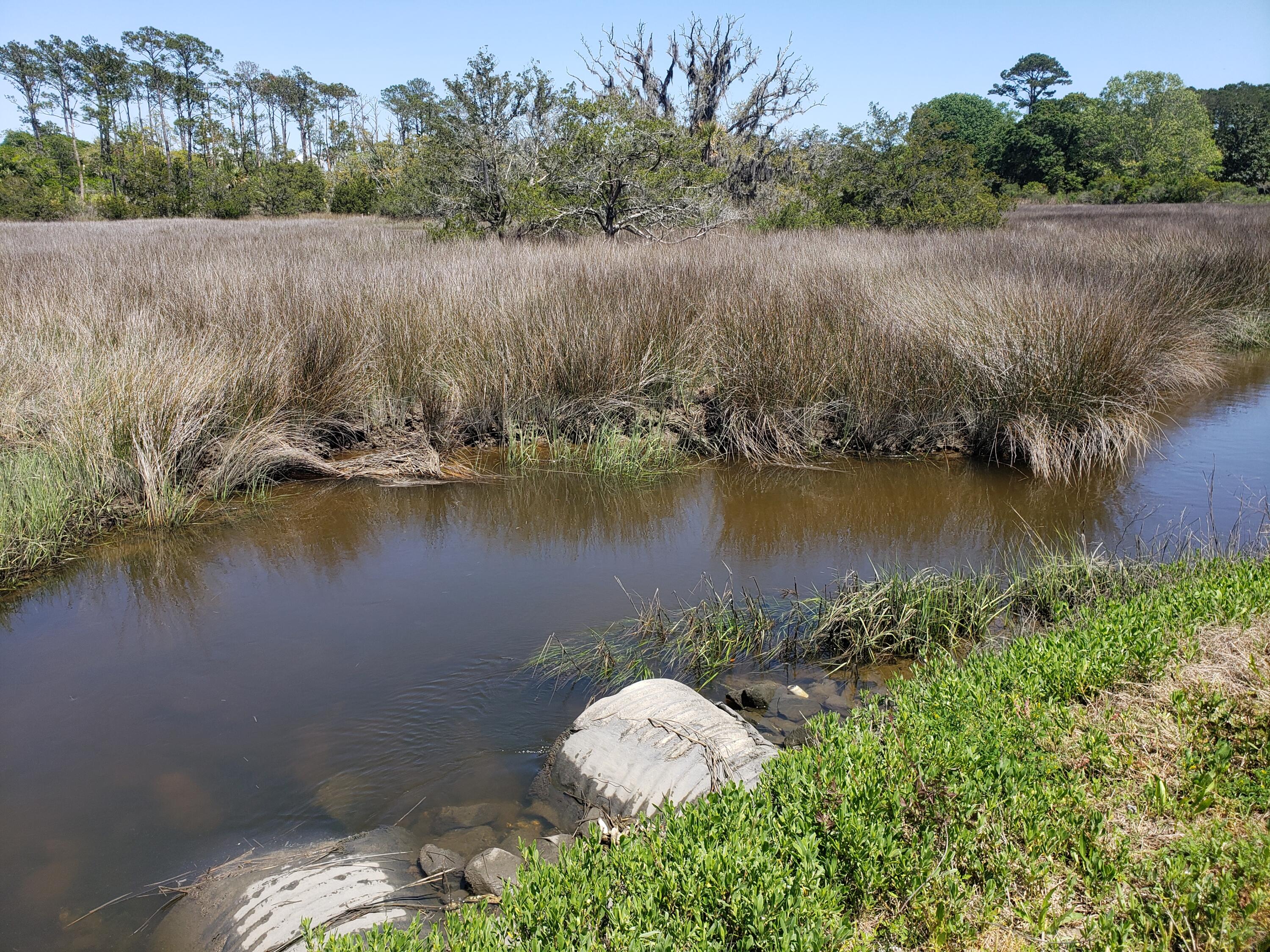 722 Crisp Road Edisto Island, SC 29438 - Photo 4 of 17 4