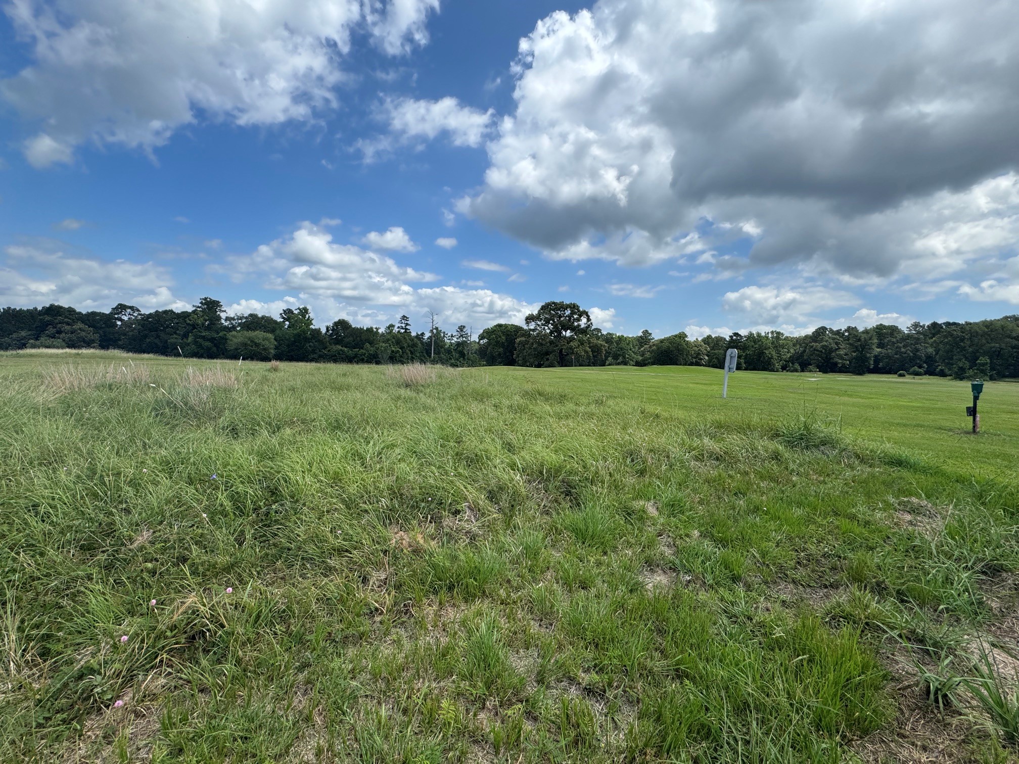 0 Richmond Circle Trinity, TX 75862 - Photo 2 of 6