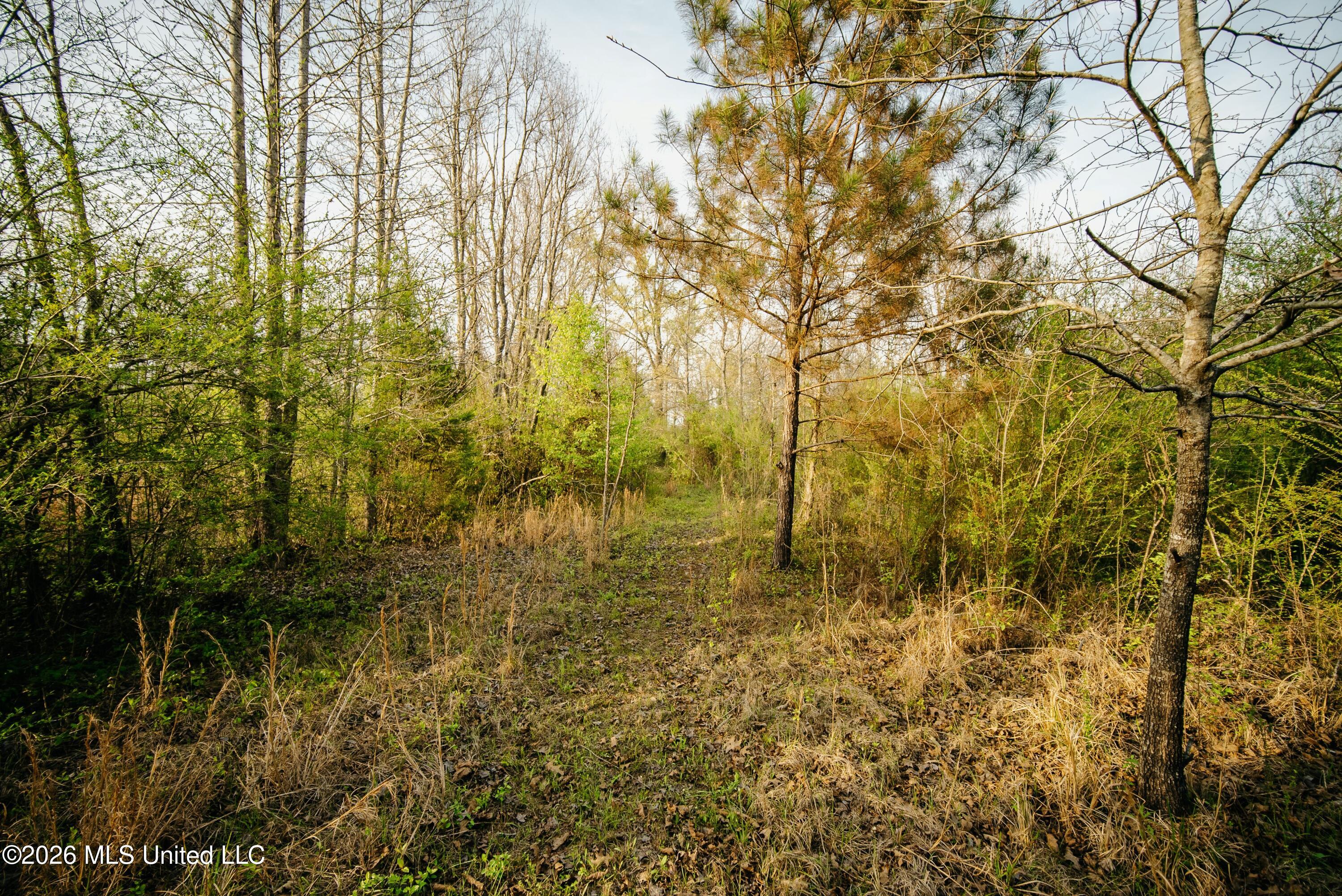 1844 Volley Campbell Road Terry, MS 39170 - Photo 22 of 81 DSC08623