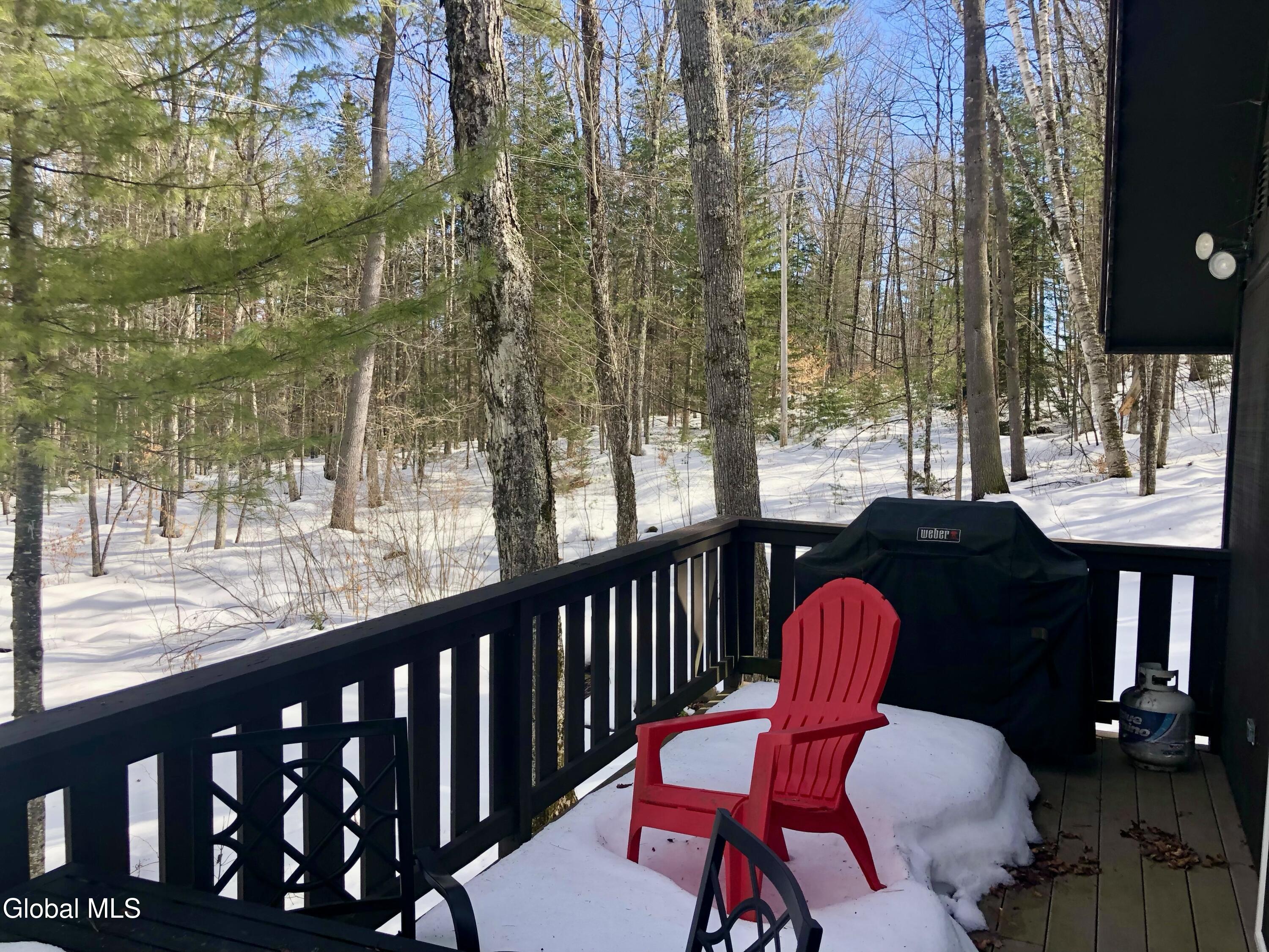 34 Park Road Johnsburg, NY 12843 - Photo 16 of 18 IMG_0811