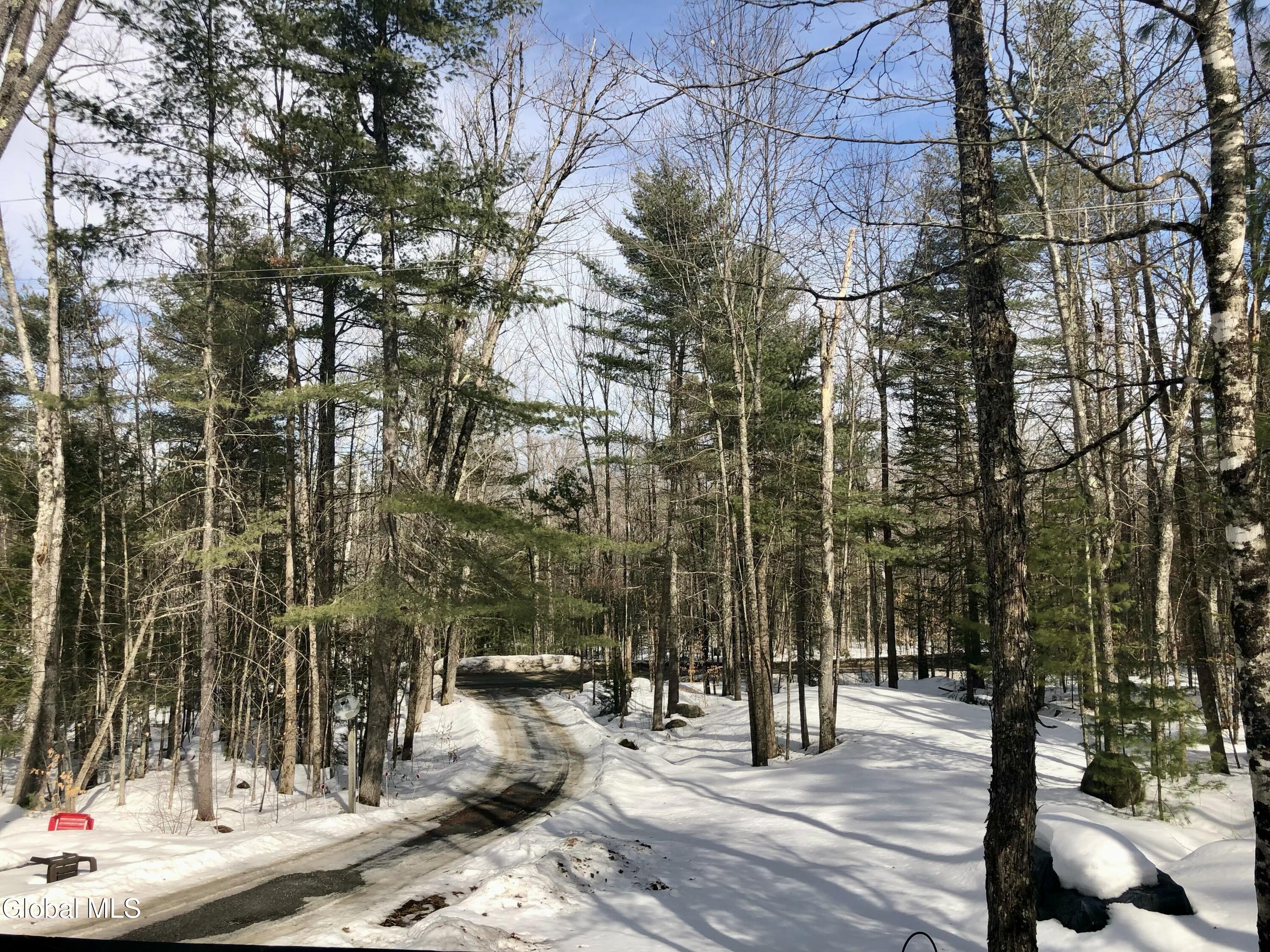 34 Park Road Johnsburg, NY 12843 - Photo 17 of 18 IMG_0812