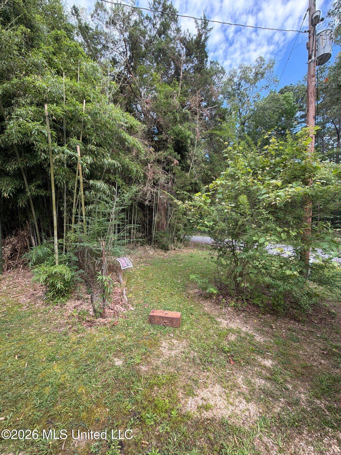 118 Canterbury Road Brandon, MS 39042 - Photo 29 of 60 1-May 19, 2026 13-05-03-utz6