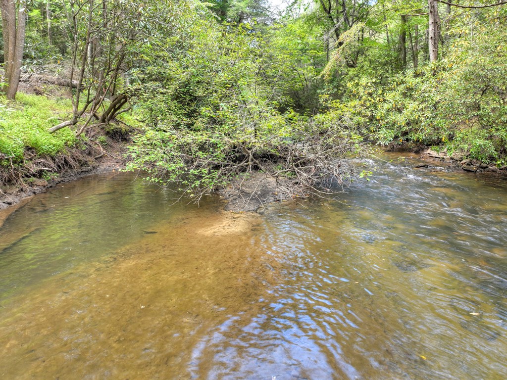 Lot 5 Chief Ron Green Trail Blue Ridge, GA 30513 - Photo 10 of 18 Gallery Image 10