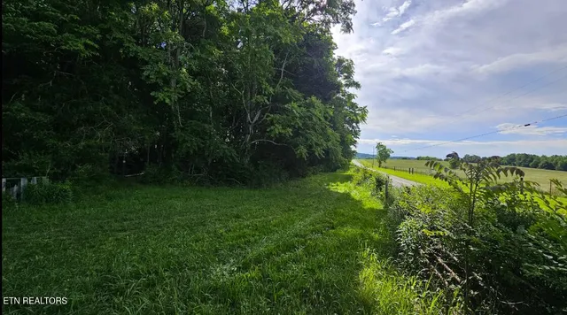 $80,000 | West D White Road, Walling, TN 38587