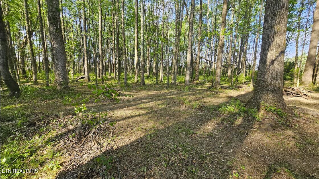 West D White Road Walling, TN 38587 - Photo 2 of 4 Screenshot 2025-08-30 093821