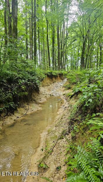 West D White Road Walling, TN 38587 - Photo 3 of 4 Screenshot 2025-08-30 093758