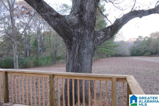9241 Jones Street Thorsby, AL 35171 - Photo 39 of 50
