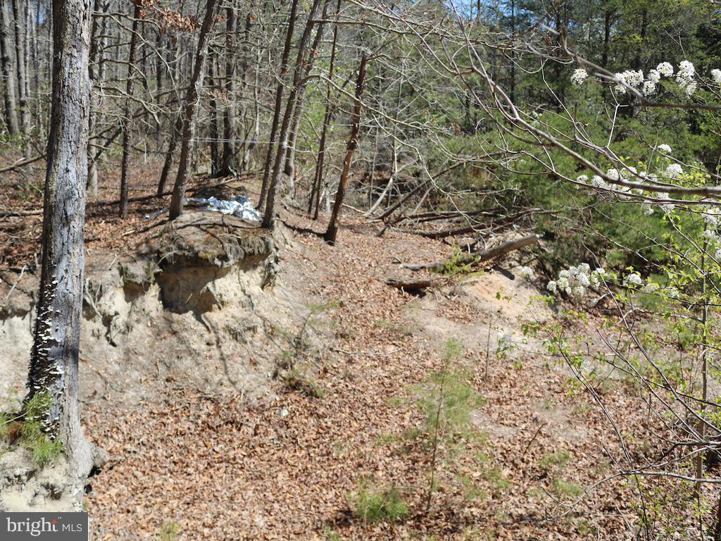 351 Shaws Mill Road Cedarville, NJ 08311 - Photo 40 of 84