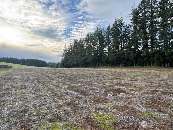 a view of a backyard with of the house