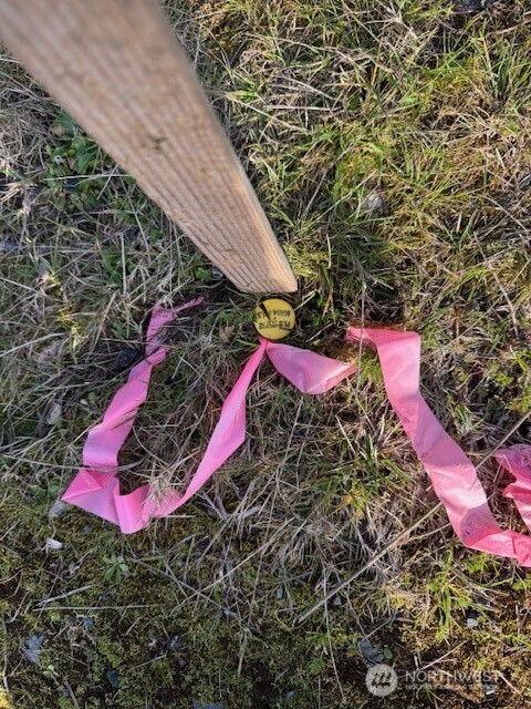 1 Frogner Road Chehalis, WA 98532 - Photo 12 of 12 a view of a backyard with of the house