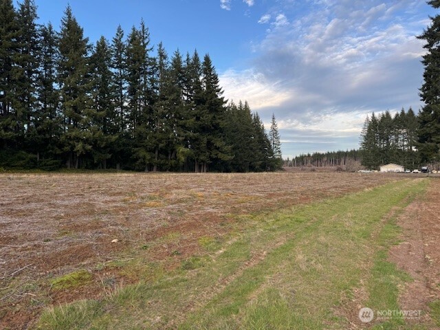 1 Frogner Road Chehalis, WA 98532 - Photo 4 of 12 a view of a lake view