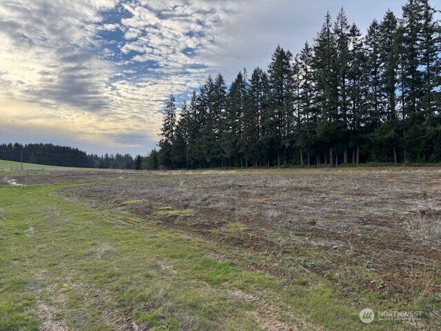 1 Frogner Road Chehalis, WA 98532 - Photo 8 of 12 a view of a lake view