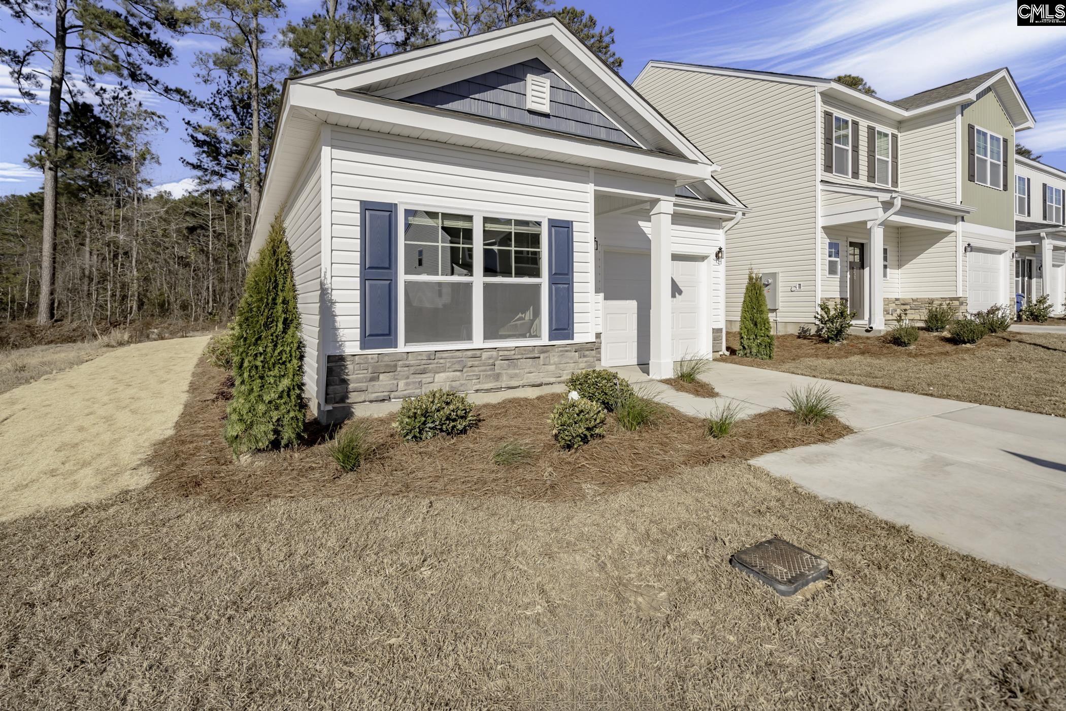 282 Brando Way Columbia, SC 29223 - Photo 30 of 31