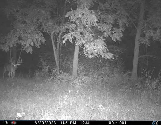 $350,000 | 15.1-ac Highway 78, Blanchardville, WI 53516