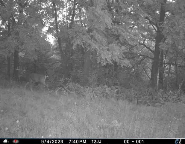 $350,000 | 15.1-ac Highway 78, Blanchardville, WI 53516