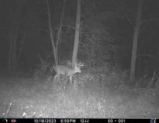 $350,000 | 15.1-ac Highway 78, Blanchardville, WI 53516