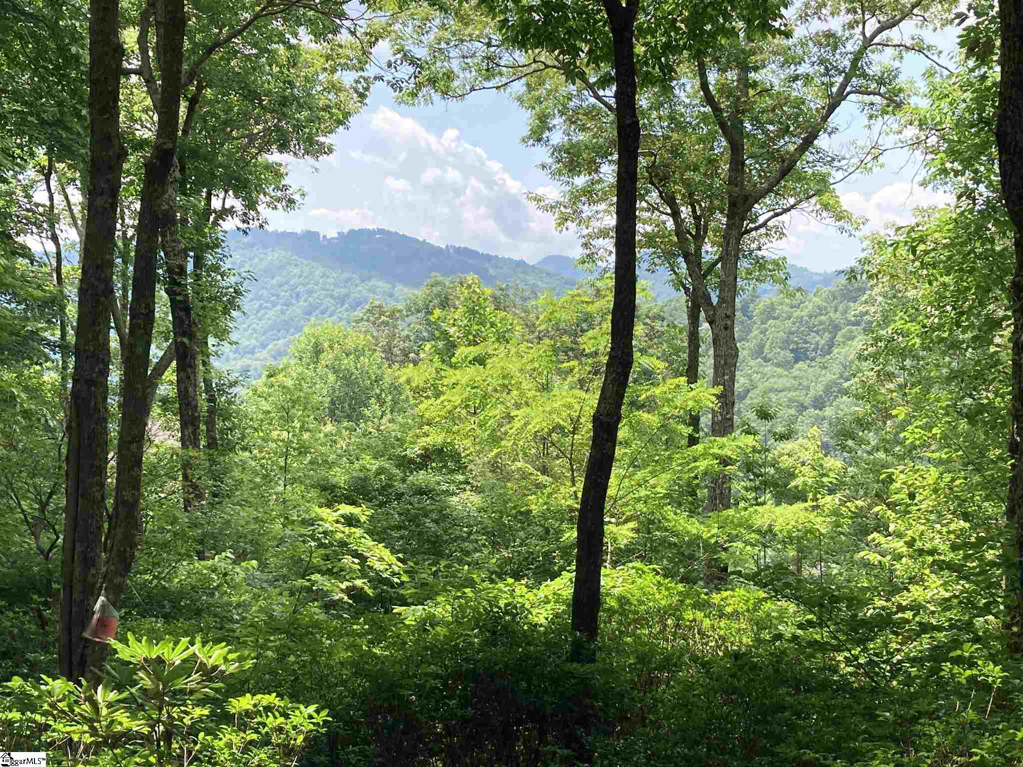 21 R-Pd-202 Travelers Rest, SC 29690 - Photo 3 of 13