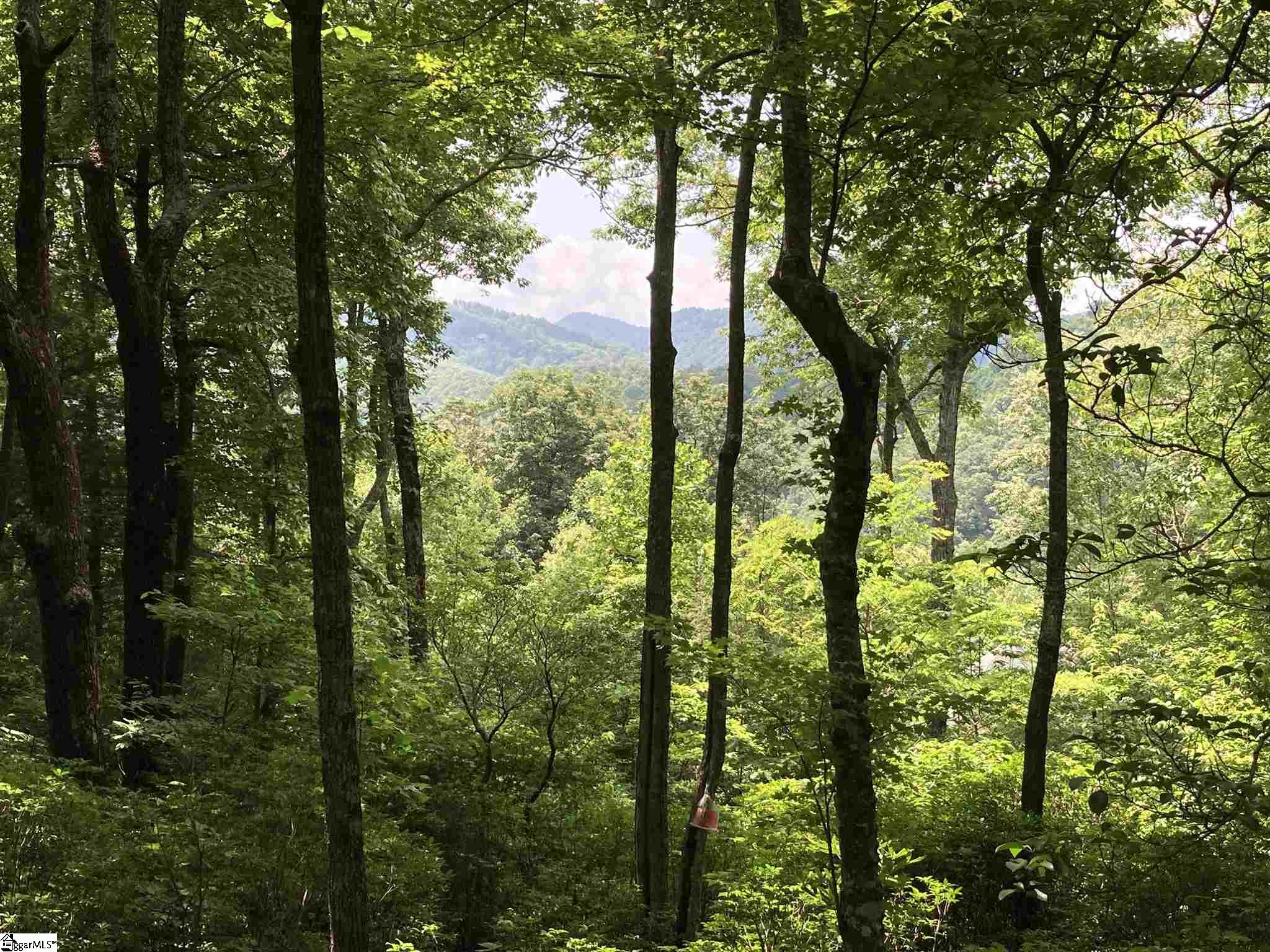 21 R-Pd-202 Travelers Rest, SC 29690 - Photo 4 of 13