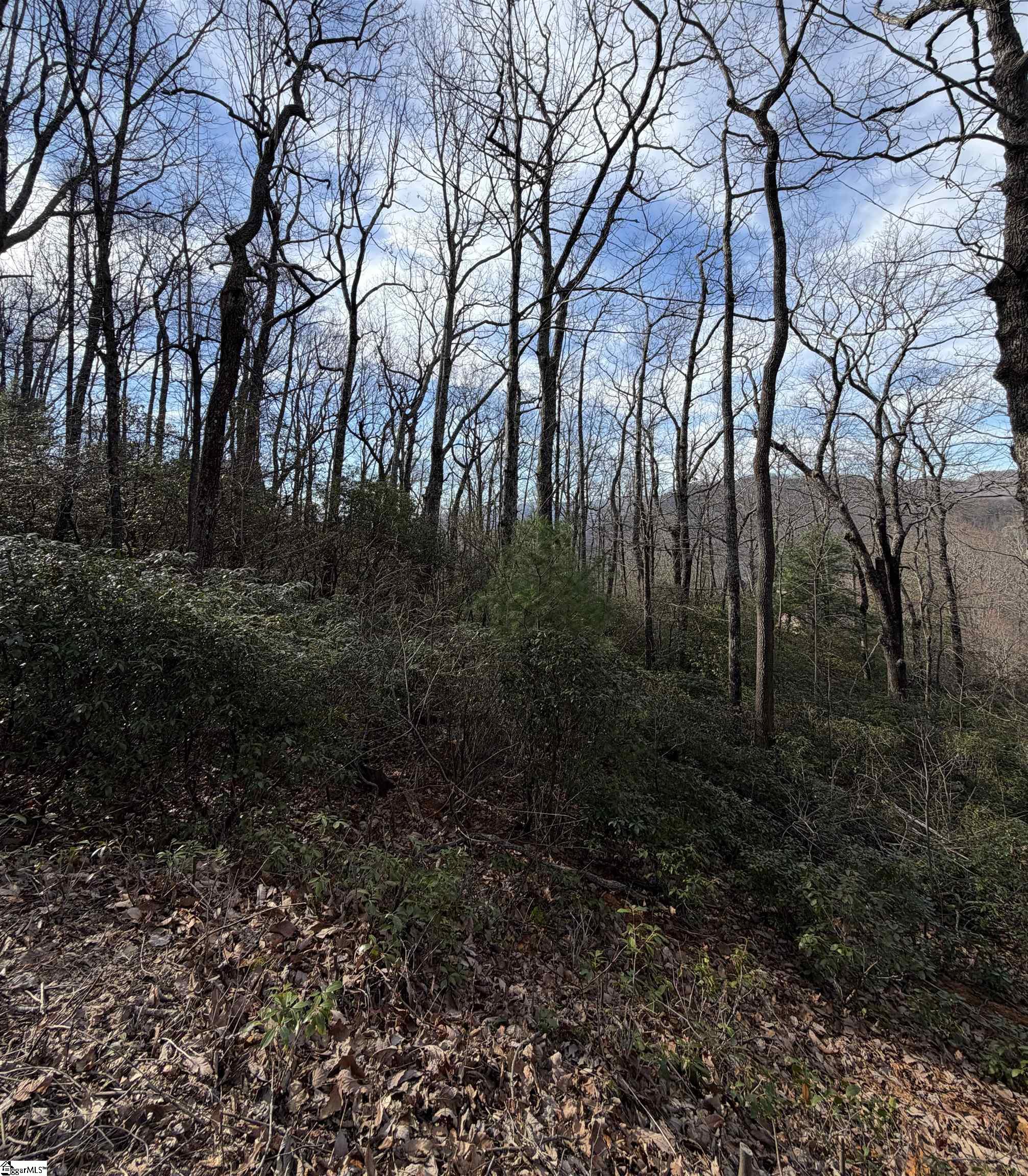 21 R-Pd-202 Travelers Rest, SC 29690 - Photo 6 of 13