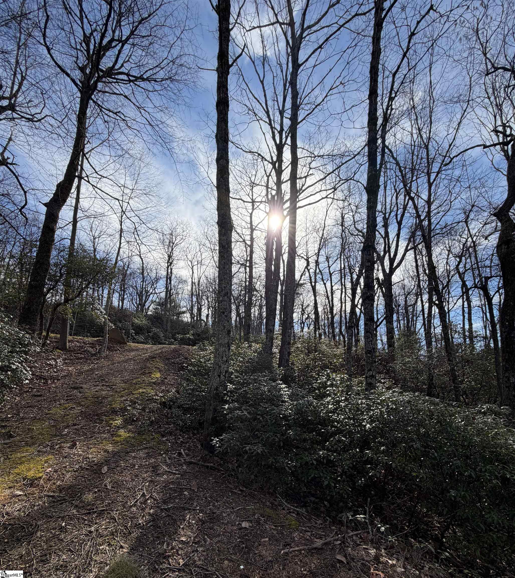 21 R-Pd-202 Travelers Rest, SC 29690 - Photo 8 of 13