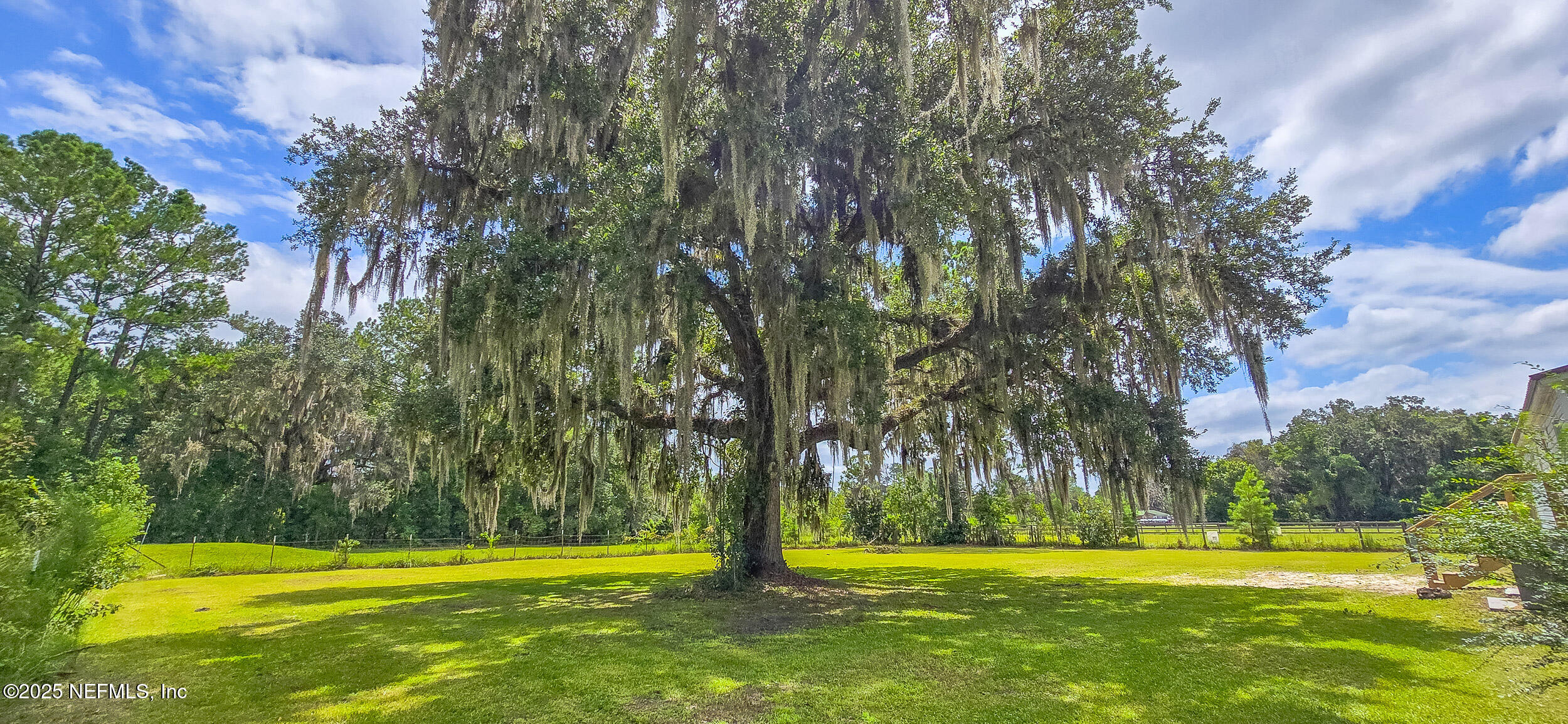 11325 Young Road, Unit 1 Jacksonville, FL 32218 - Photo 5 of 32 Backyard