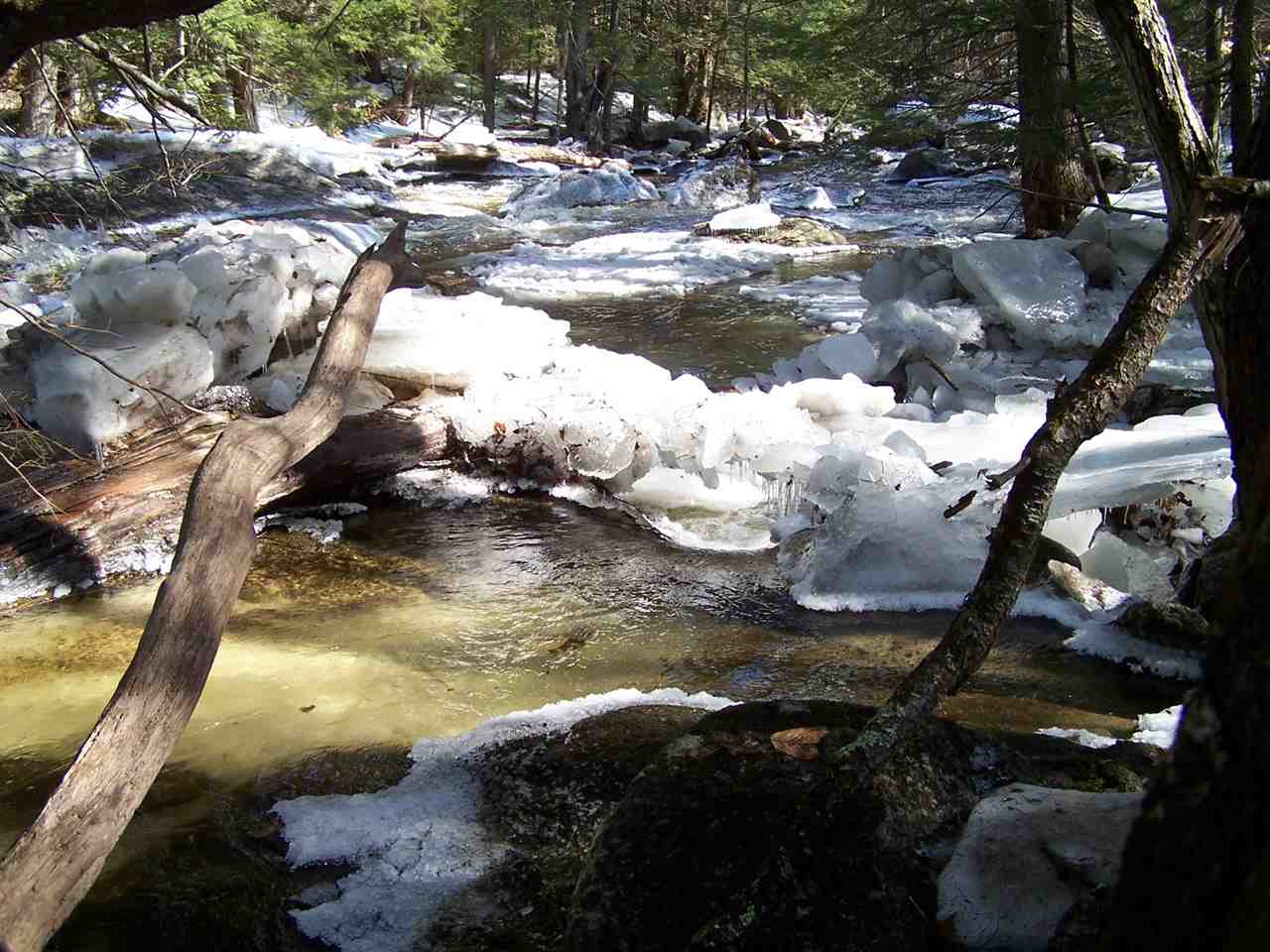 Walker Brook Road Danbury, NH 03230 - Photo 14 of 27 Gallery Image 14