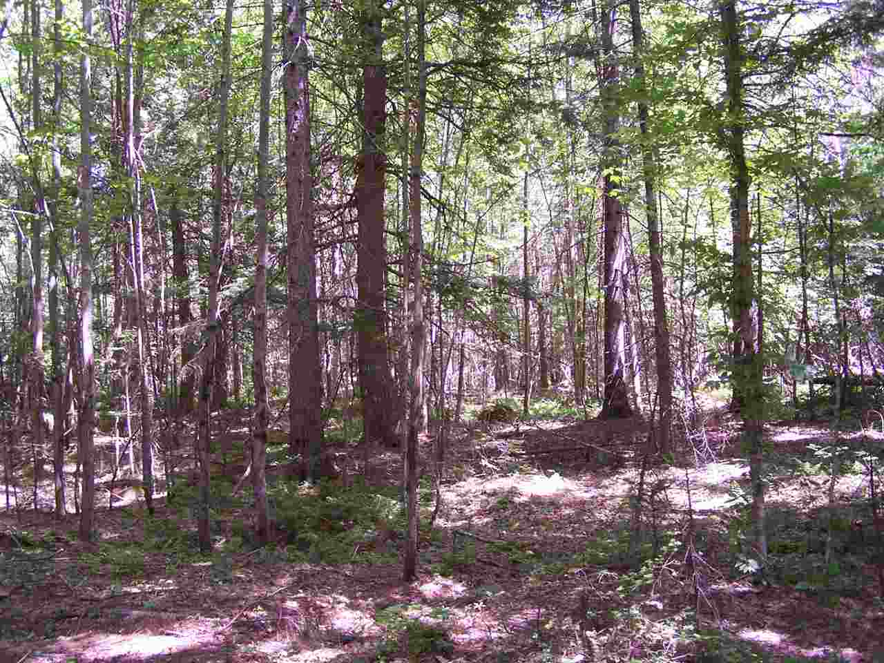Walker Brook Road Danbury, NH 03230 - Photo 17 of 27 Gallery Image 17