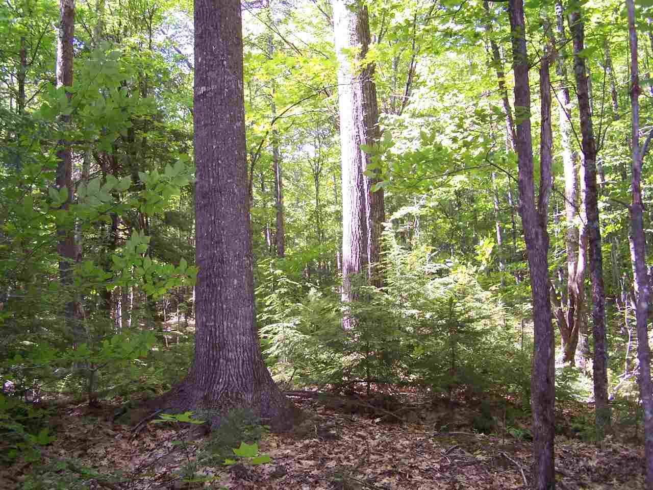 Walker Brook Road Danbury, NH 03230 - Photo 3 of 27 Gallery Image 3