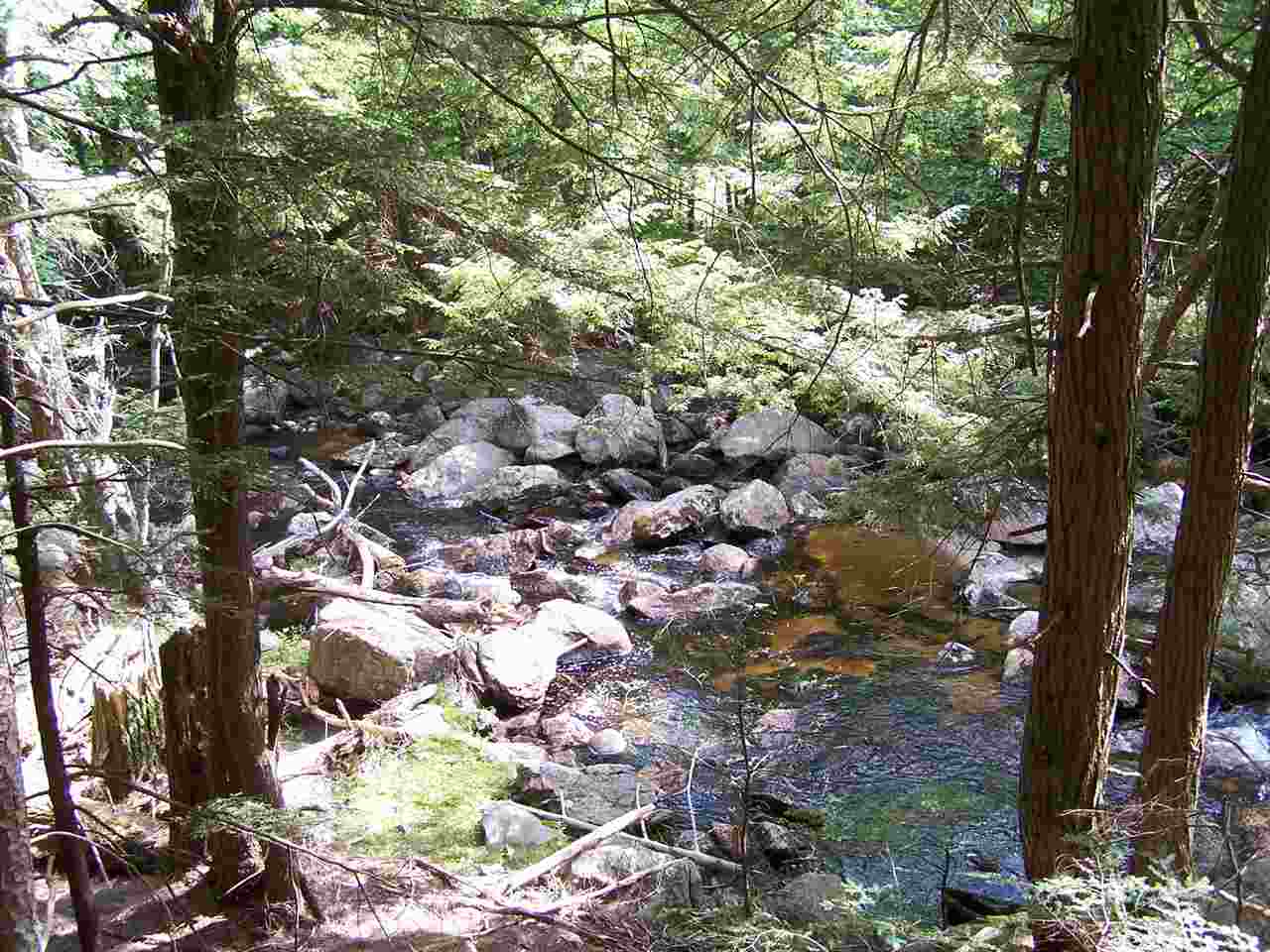 Walker Brook Road Danbury, NH 03230 - Photo 24 of 27 Gallery Image 24