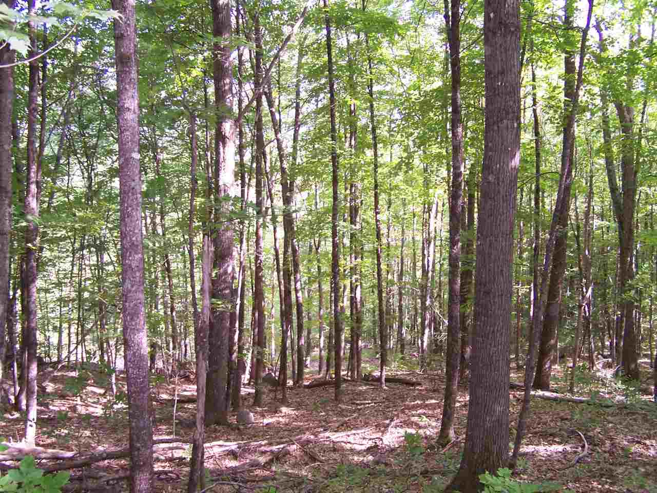 Walker Brook Road Danbury, NH 03230 - Photo 26 of 27 Gallery Image 26