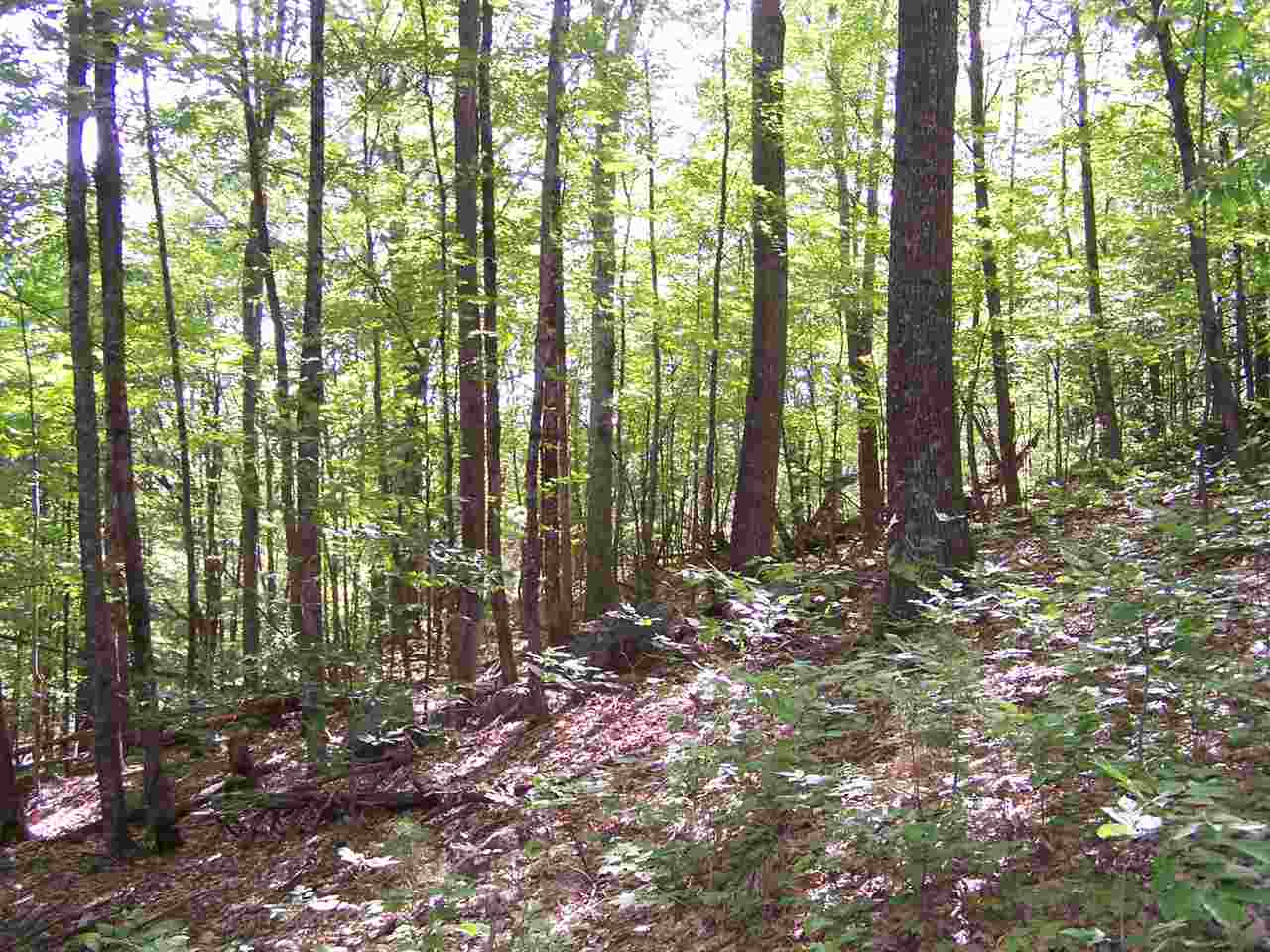 Walker Brook Road Danbury, NH 03230 - Photo 27 of 27 Gallery Image 27