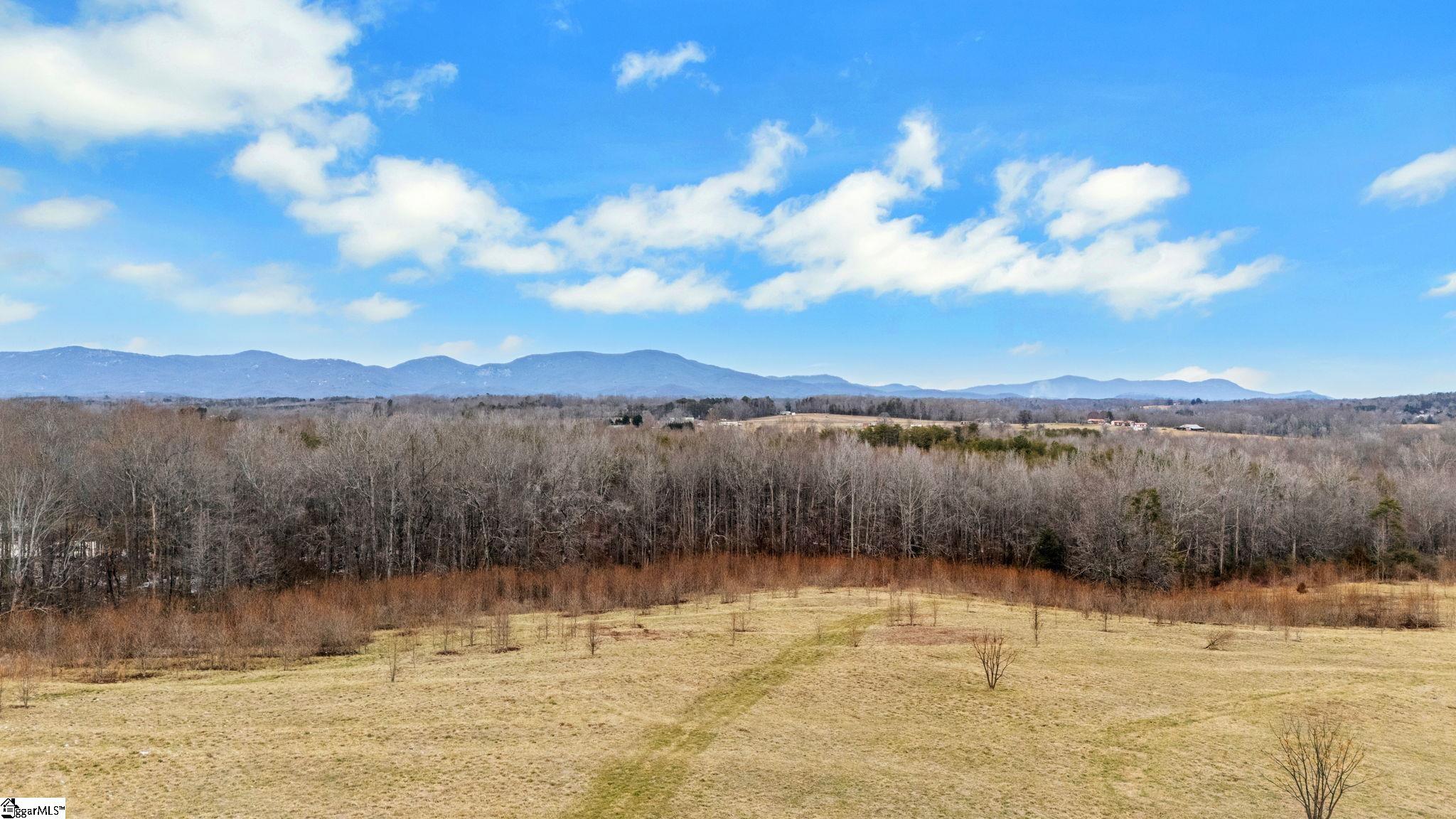 0 Cockrell Road, Unit LOT 3 Greer, SC 29651 - Photo 2 of 5