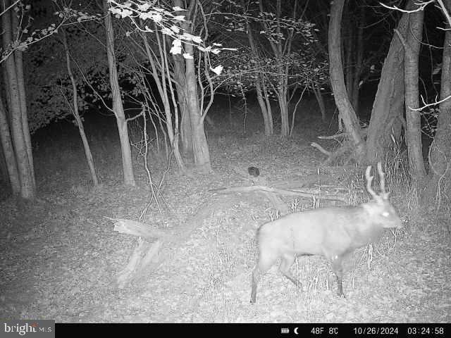 Beaver Neck Village Road Cambridge, MD 21613 - Photo 49 of 52 Gallery Image 49