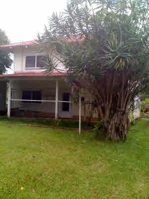 28-251 Stable Camp Road Honomu, HI 96728 - Photo 4 of 4 Gallery Image 4