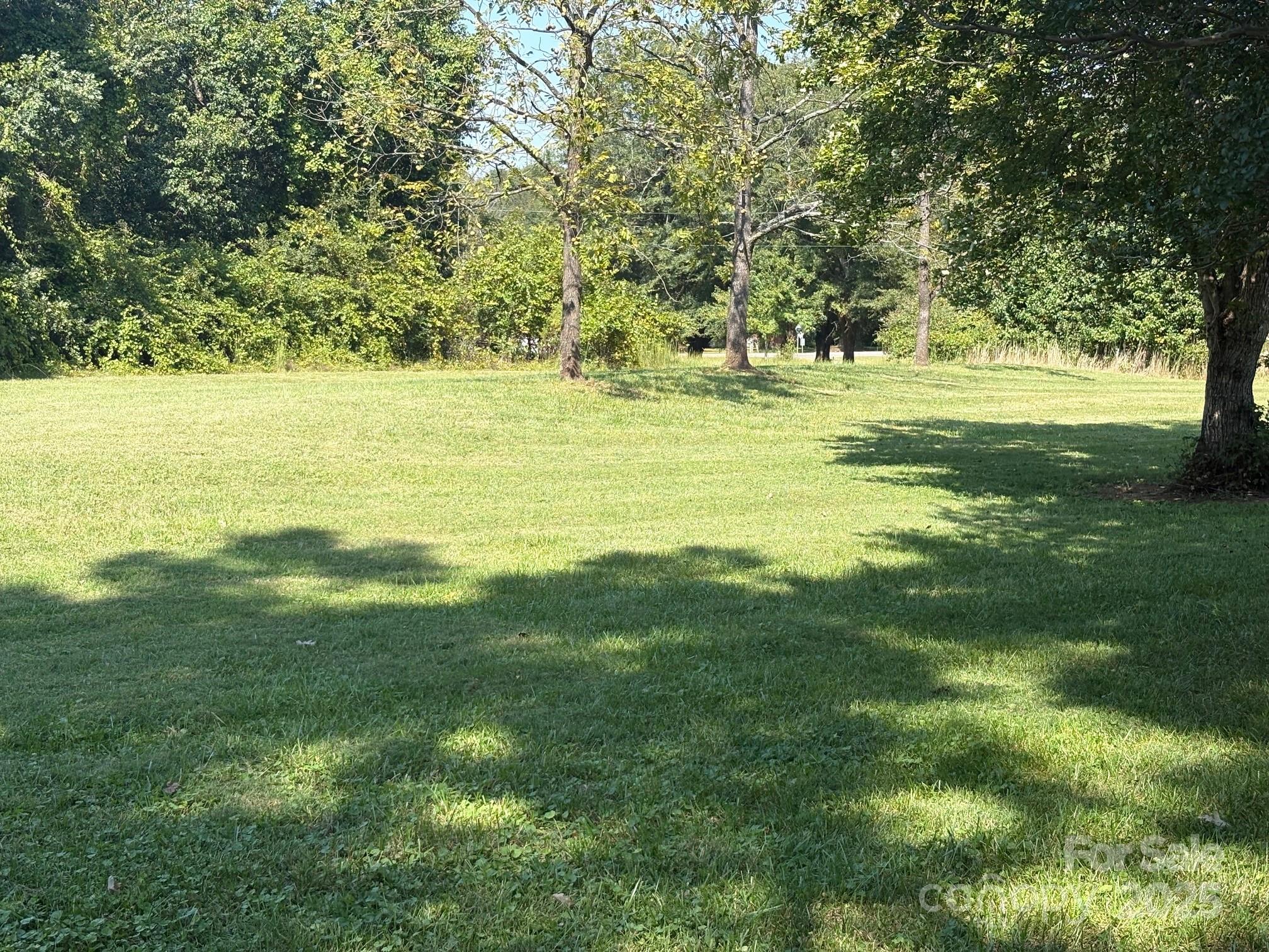 507 Poplar Springs Church Road Shelby, NC 28152 - Photo 19 of 47 a view of a green field with plants and large trees