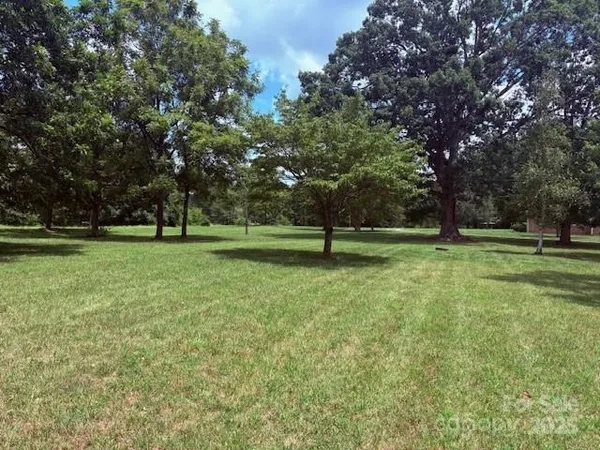 a view of a yard