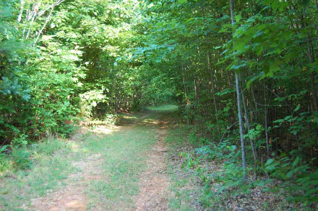 Lot 2 Cedar Lane Road Kents Store, VA 23084 - Photo 4 of 7 a view of yard with green space