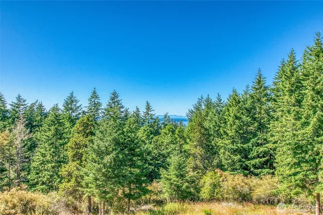 $995,000 | 97 Snowberry Lane, Orcas Island, WA 98245