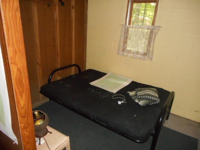 16442 Sandtown Road Curtis, MI 49820 - Photo 9 of 22 Gallery Image 9