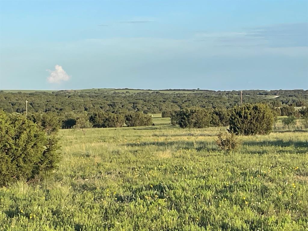 200 Pr 16028 Road Jonesboro, TX 76538 - Photo 14 of 17