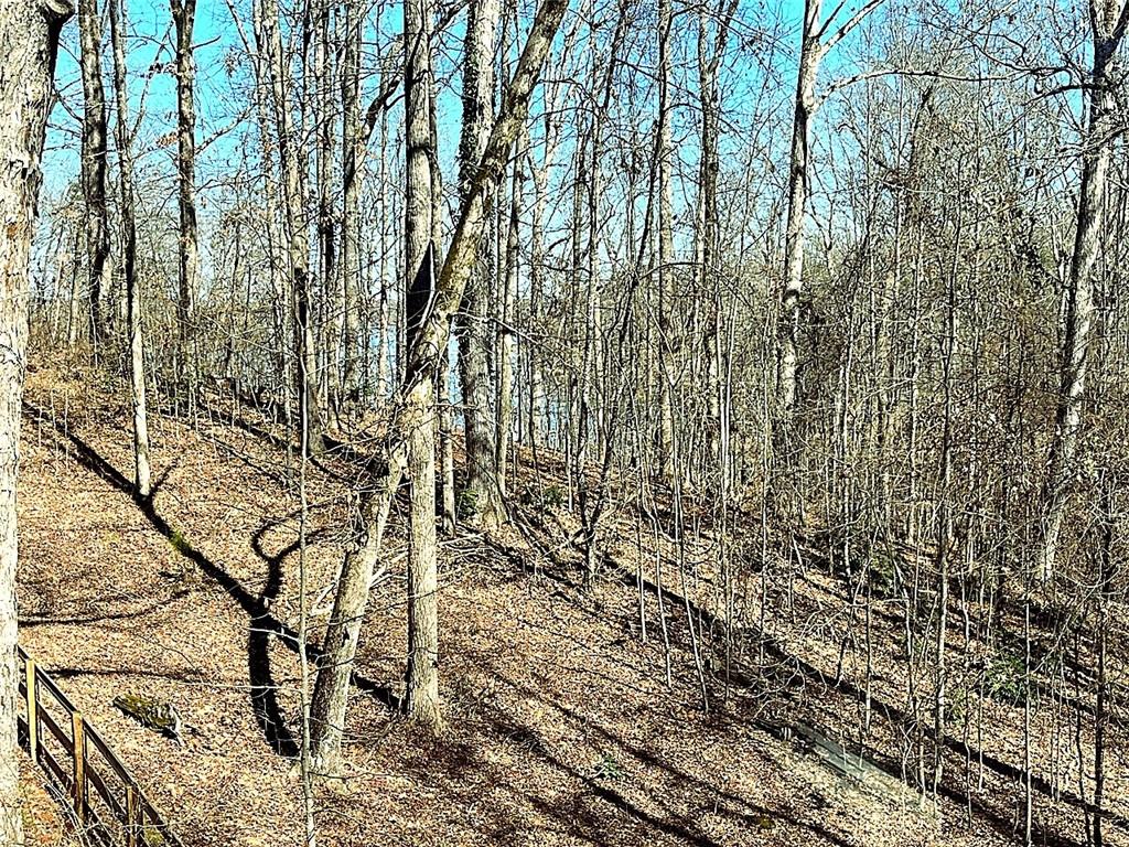 9145 Browns Bridge Road Gainesville, GA 30506 - Photo 11 of 23
