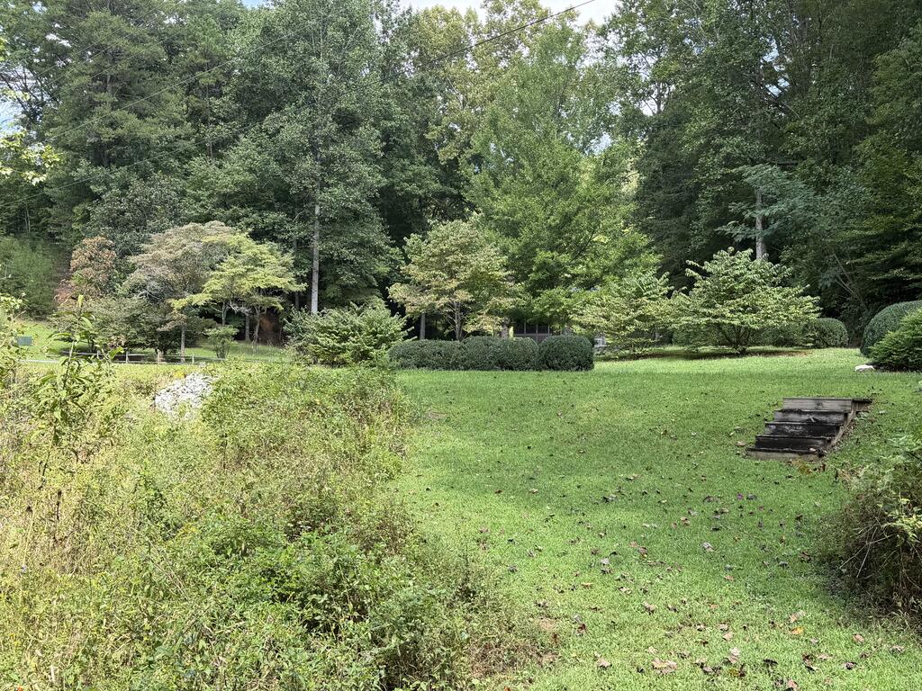 6.13-ac Lucius Road Blue Ridge, GA 30513 - Photo 14 of 21 Gallery Image 14