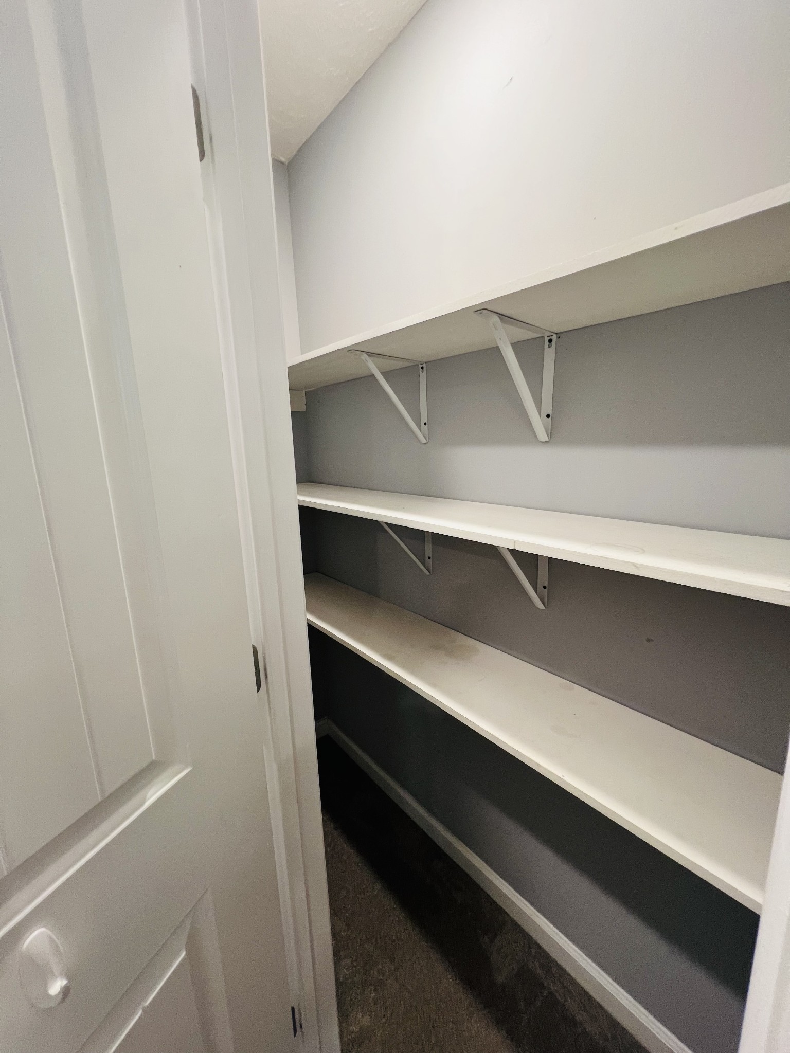 770 Bunker Hill Road Pulaski, TN 38478 - Photo 21 of 26 a view of closet
