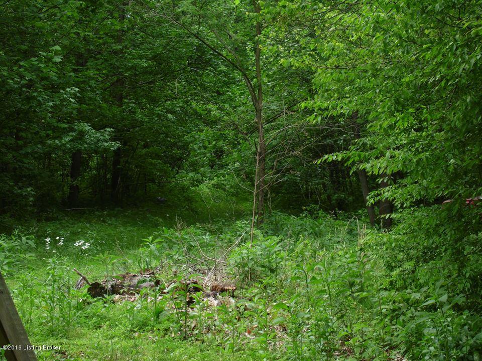 4981 Knob Creek Road Brooks, KY 40109 - Photo 10 of 25 13187707_10209724622656204_73998806_n
