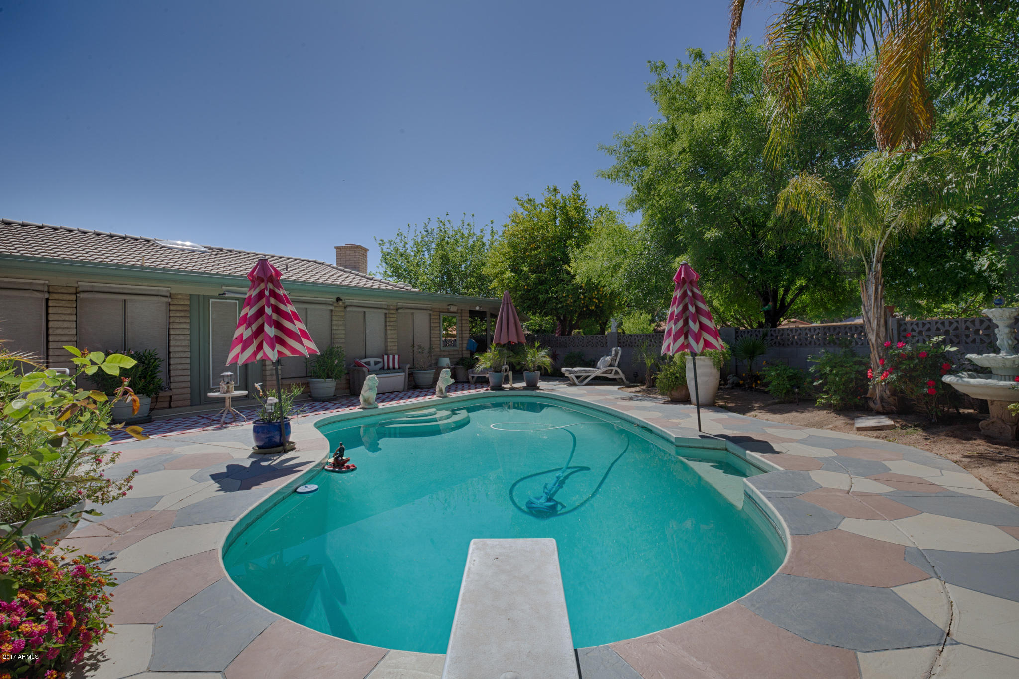 720 North Riata Street Gilbert, AZ 85234 - Photo 25 of 29 diving pool