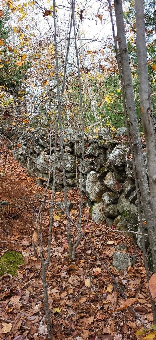 408 Oak Hill Road Swanville, ME 04915 - Photo 6 of 6 Rock walls 3