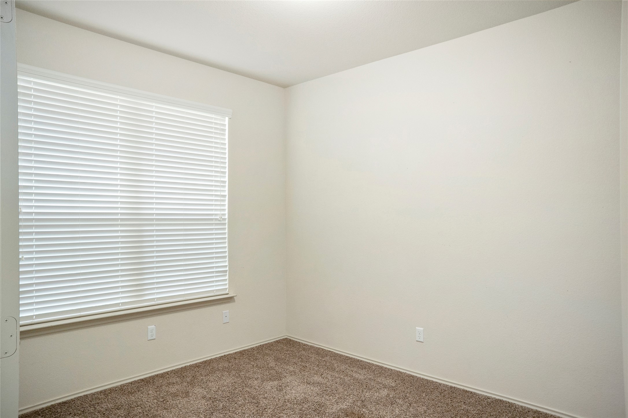 212 Foster Lane Jarrell, TX 76537 - Photo 3 of 22 Neutral-toned walls, plush carpeting, and window over looking front porch, and solid double-doors