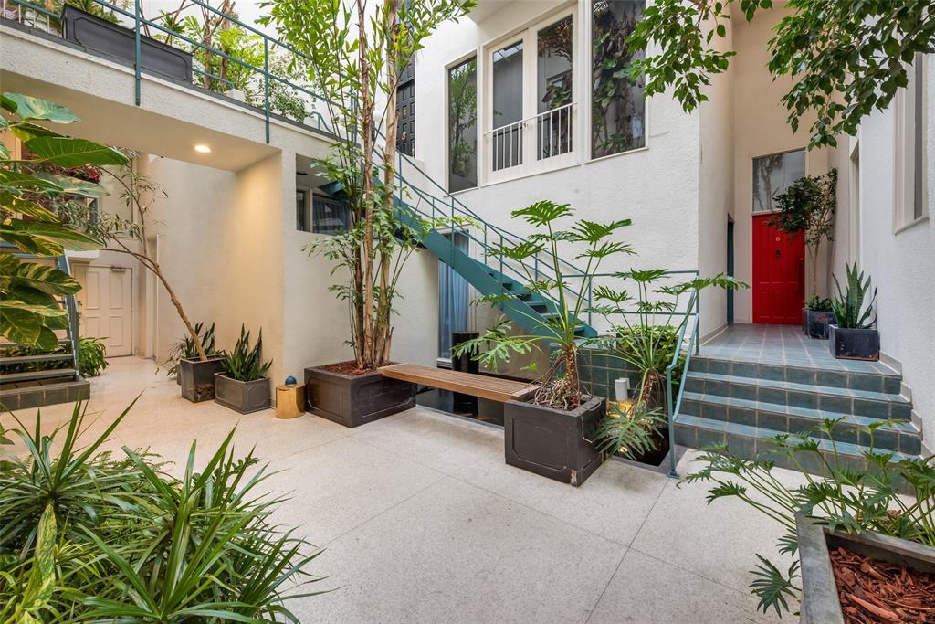 a potted plant sitting in front of a house