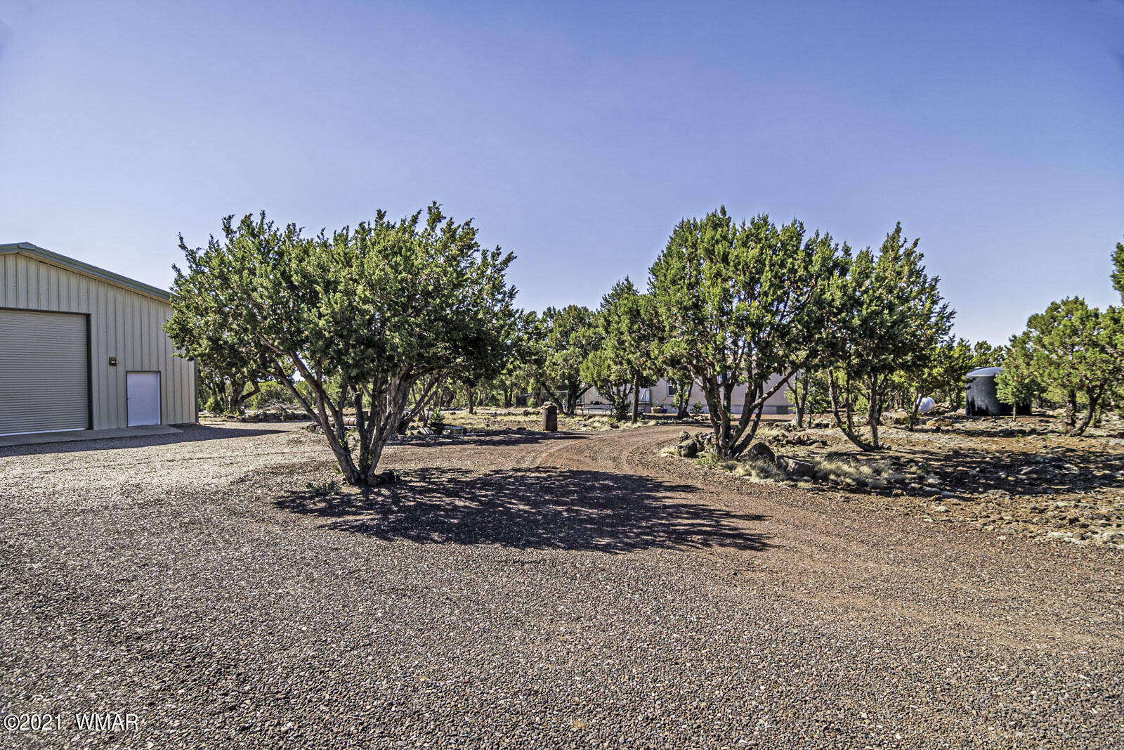 11 County Road Concho, AZ 85924 - Photo 31 of 35 a view of a yard with plants and trees